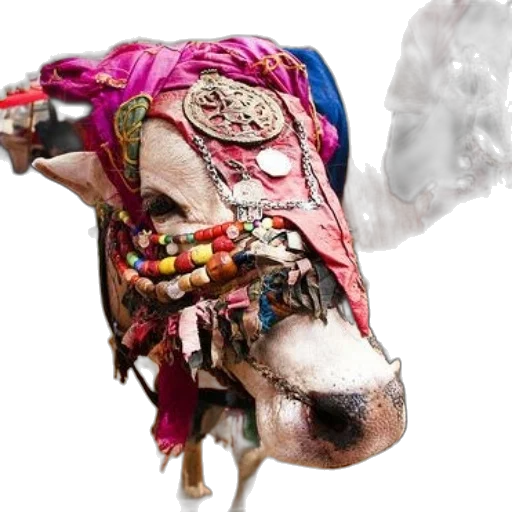 mask, face, animal, jewelry transparent PNG cut-out