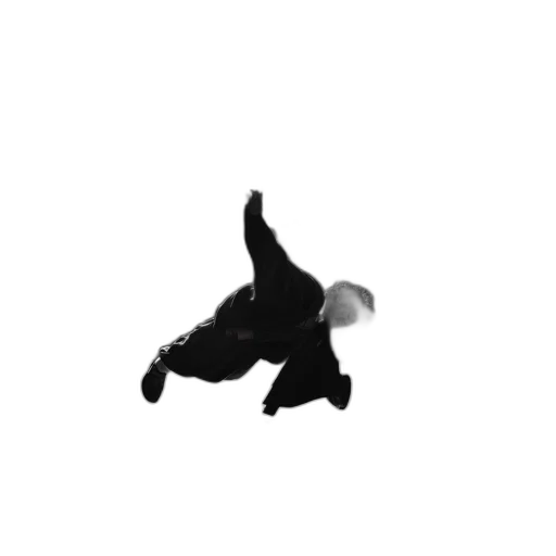 animal, creature, dragon, shoes transparent PNG cut-out