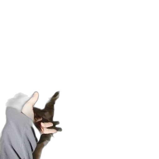 staff, weapon, jacket, mask transparent PNG cut-out