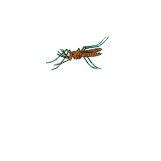 animal, creature, staff, weapon transparent PNG cut-out
