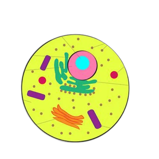 creature, food, mask, staff transparent PNG cut-out