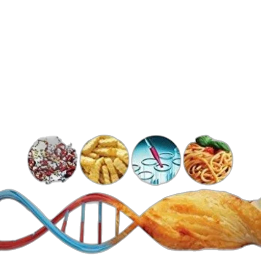 food, jewelry, vaporwave, cover transparent PNG cut-out