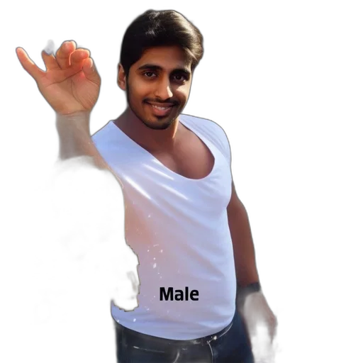 animal, creature, face, staff transparent PNG cut-out