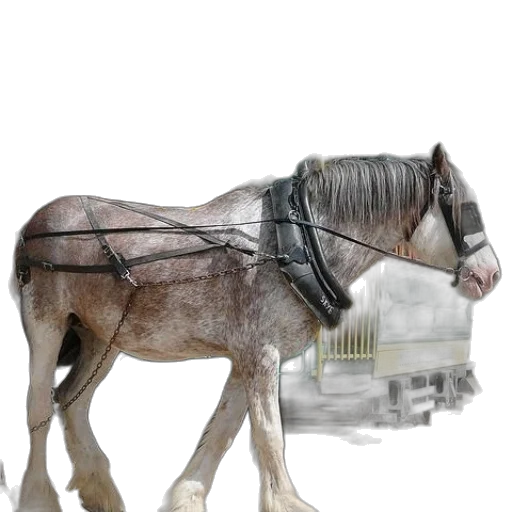 robot, animal, car, weapon transparent PNG cut-out