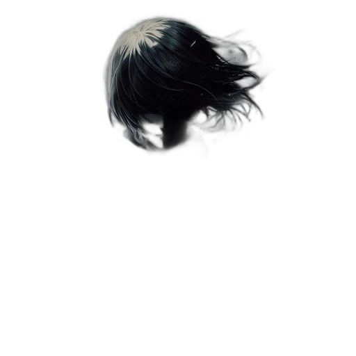 hair, mask, face, hat transparent PNG cut-out