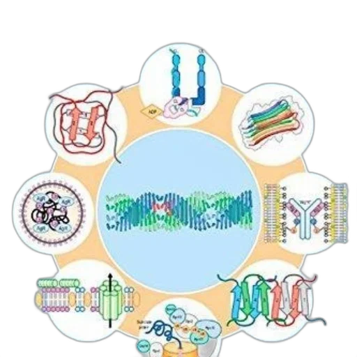 image, infographic, about, neurodegenerative transparent PNG cut-out