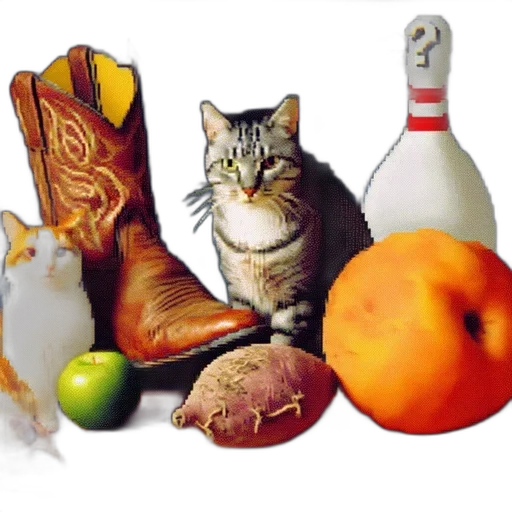 food, animal, bottle, jewelry transparent PNG cut-out
