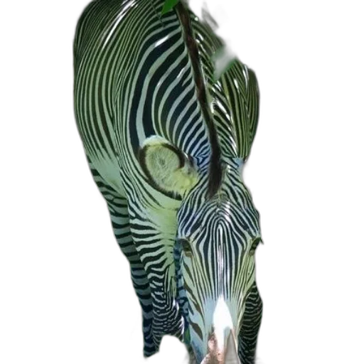 jewelry, mask, animal, staff transparent PNG cut-out