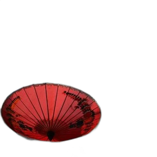 umbrella, hat, flower, crown transparent PNG cut-out