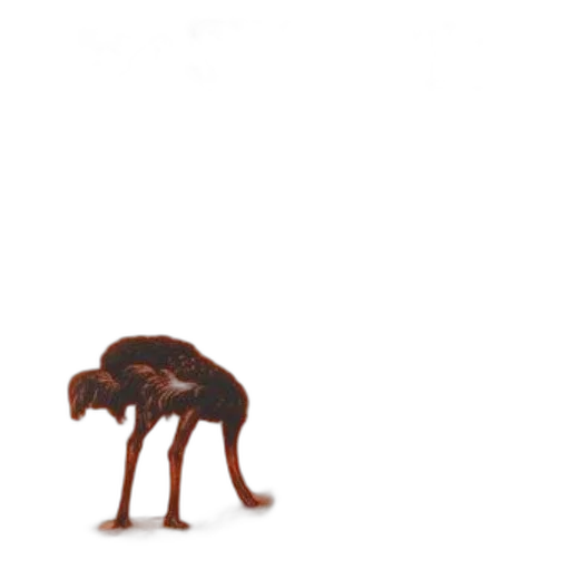 animal, creature, furniture, robot transparent PNG cut-out