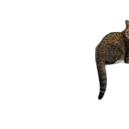 animal, creature, staff, weapon transparent PNG cut-out
