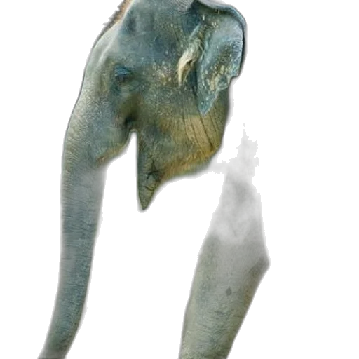 animal, creature, mask, staff transparent PNG cut-out