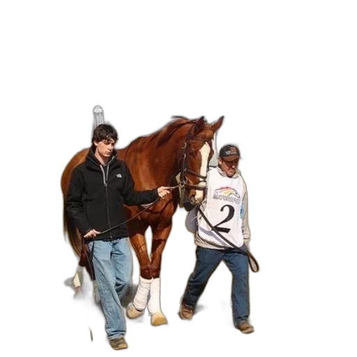 animal, staff, jacket, two transparent PNG cut-out