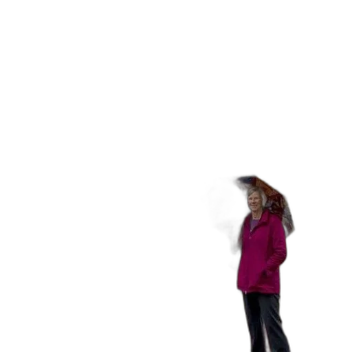jacket, umbrella, hair, staff transparent PNG cut-out