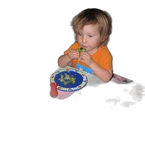 food, bottle, weapon, creature transparent PNG cut-out
