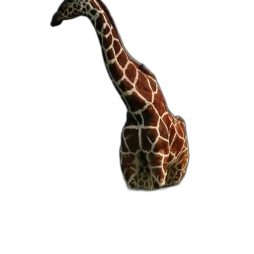 animal, hat, staff, creature transparent PNG cut-out