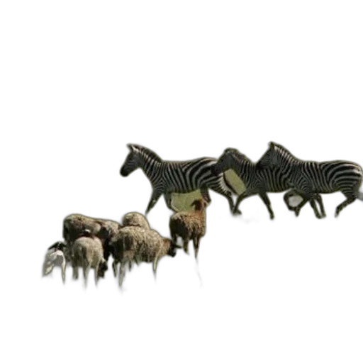 animal, creature, furniture, staff transparent PNG cut-out