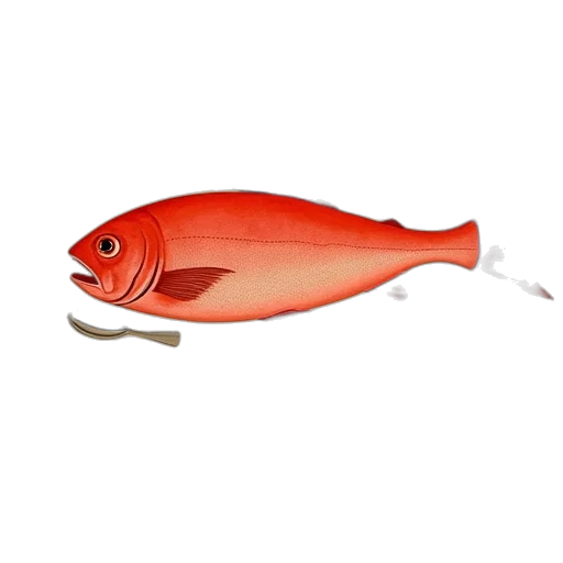 staff, animal, weapon, food transparent PNG cut-out