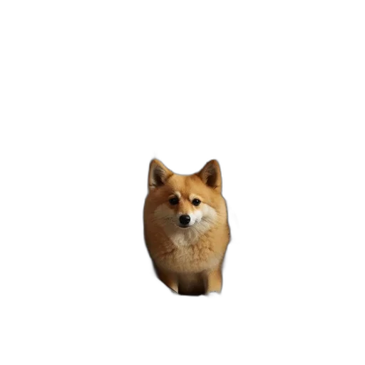animal, creature, face, staff transparent PNG cut-out