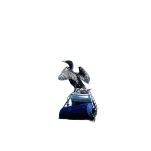 robot, bottle, weapon, animal transparent PNG cut-out