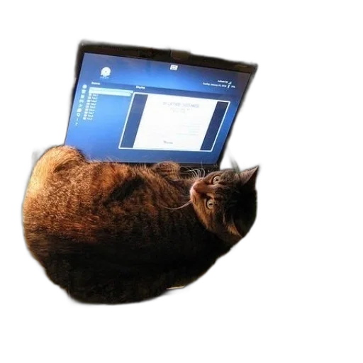 staff, animal, hat, creature transparent PNG cut-out