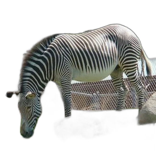 animal, creature, weapon, furniture transparent PNG cut-out