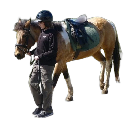 jacket, staff, animal, umbrella transparent PNG cut-out