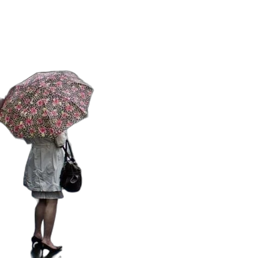 umbrella, dress, hat, flower transparent PNG cut-out