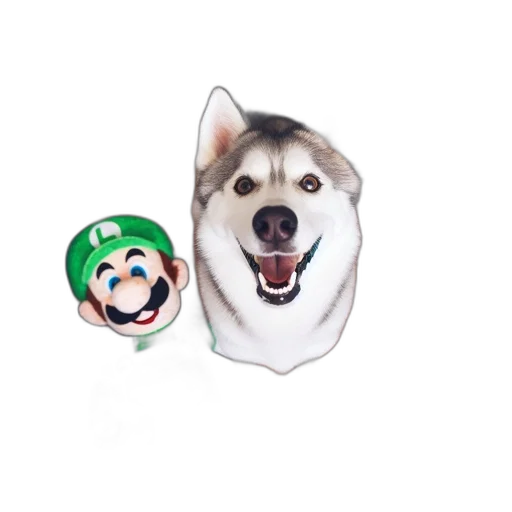 mask, animal, hat, creature transparent PNG cut-out
