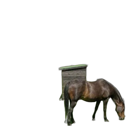 furniture, animal, bottle, hat transparent PNG cut-out