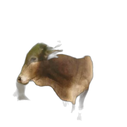 animal, creature, hat, dragon transparent PNG cut-out