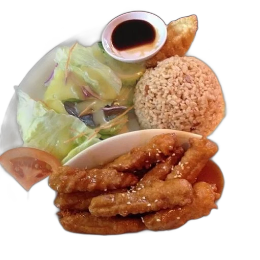 food, animal, dragon, photorealistic transparent PNG cut-out