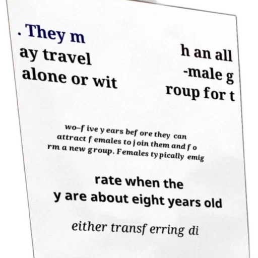 tree, weapon, text-based, image transparent PNG cut-out