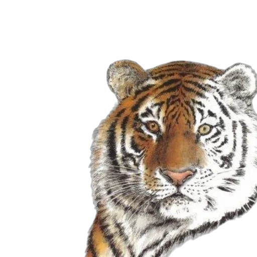 animal, face, creature, crown transparent PNG cut-out