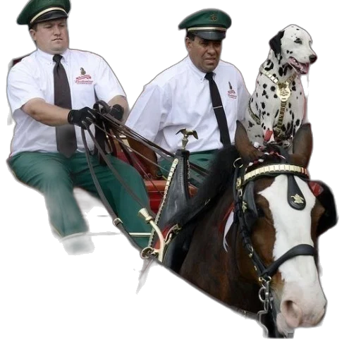 staff, animal, weapon, hat transparent PNG cut-out