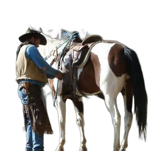 staff, animal, hat, jacket transparent PNG cut-out
