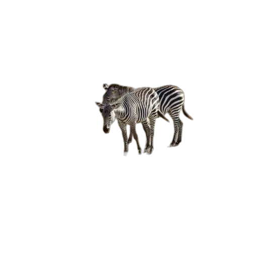 animal, creature, jewelry, furniture transparent PNG cut-out