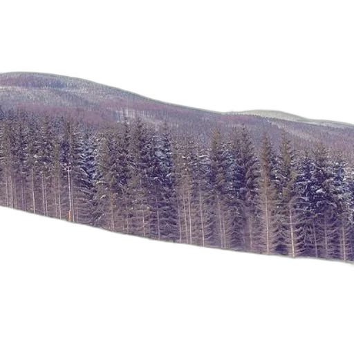 sword, tree, staff, hair transparent PNG cut-out