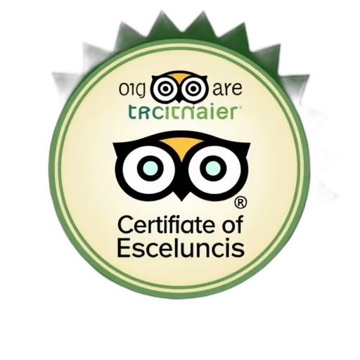 certificate, excellence, 2016, tripadvisor transparent PNG cut-out
