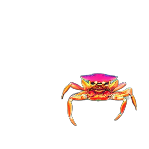 animal, creature, food, crown transparent PNG cut-out