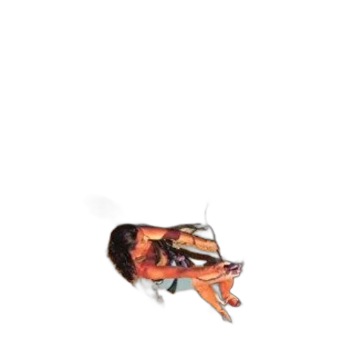 creature, animal, shoes, hair transparent PNG cut-out