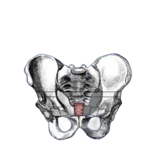 crown, jewelry, face, mask transparent PNG cut-out