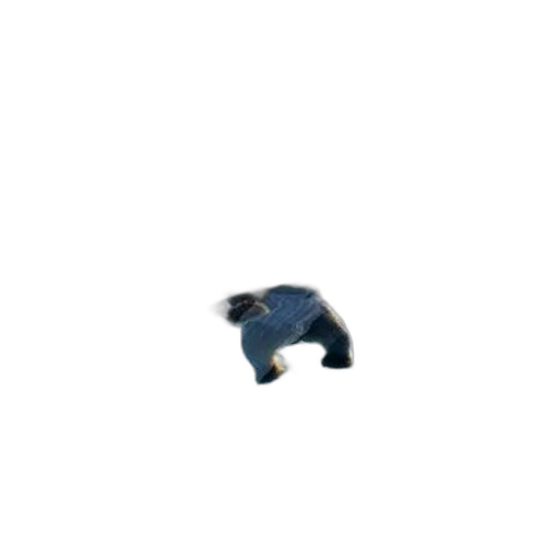 hat, creature, animal, shoes transparent PNG cut-out