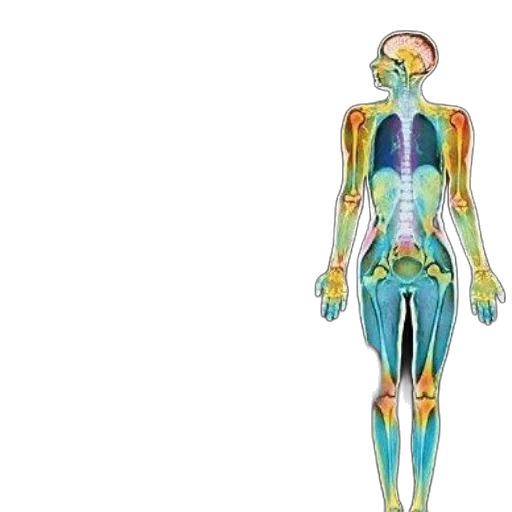 cover, pathophysiology, disease, introduction transparent PNG cut-out