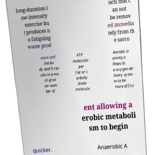 food, poster, explaining, benefits transparent PNG cut-out