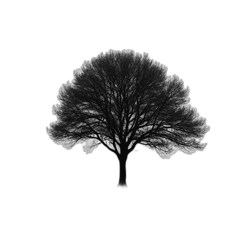 tree, crown, hair, hat transparent PNG cut-out