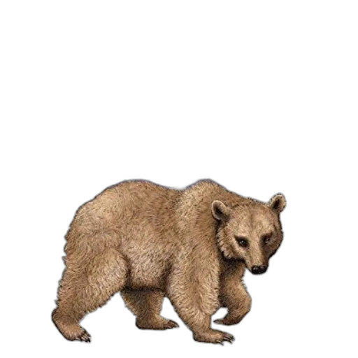 animal, creature, staff, weapon transparent PNG cut-out