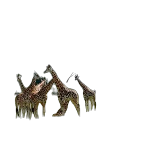 creature, animal, dragon, robot transparent PNG cut-out