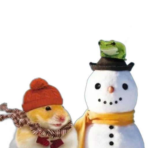 hat, 3d render, photorealistic, snow transparent PNG cut-out