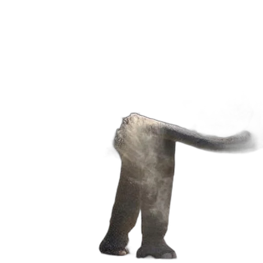 animal, creature, staff, hair transparent PNG cut-out